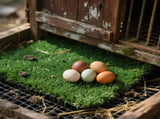 Chicken Nesting Pads 12 Pack Washable Artificial Grass Egg Mats 12x12 Inch Green V1263-JX-7807
