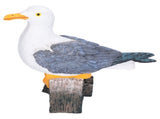 Seagull Figurine Decorations Cute Appearance Vivid Lifelike Exquisite Workmanship Nautical Decor for V1294-YM0523-3115210231711