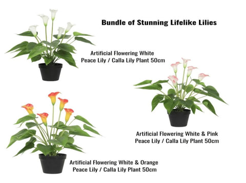 Stunning Lifelike Lilies Bundle V637-DP1194091