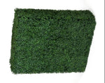 Portable Boxwood Hedge UV Stabilised 75cm High 100cm Long V77-1006821