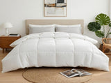 Giselle Bedding Double Size 400GSM Microfiber Quilt All Season Duvet Quilts Comforter Winter Summer QUILT-RCYF-400-D