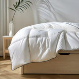 Royal Comfort -Bamboo Quilt Queen - 350GSM ABM-202755