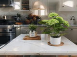 Potted Artificial Green Hydrangea 50cm V637-05075HYD