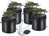 DWC Hydroponics Grow, Hydroponic Growing, Deep Water Culture 5-Gallon 4 Buckets, DWC V952-SSSPXTYX4110VW1XKV3