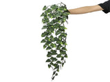 Hanging Artificial Pothos / Philodendron Plant UV Resistant 85cm V637-DP33331