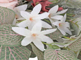 European Welcome Brand Rose Orchid Lintel Decoration Home Wedding Decorative Flowers V1294-YM0715-211101QY05-5