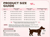 Adorable Angel Wings Dog Harness with Glowing 3D Luminous Design, Breathable No-Pull Walking Vest V1341-ZY-JYUCYZRL-PURPLEHARNESSLEASHSET-L