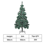 Santaco 1.8M 250 Tips Christmas Tree Full Pine Needle XMASTREE1017-1.8M