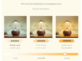 Three-colour Changing Light French-Inspired Bedside Lamp - Modern Minimalist Warm Light V888-ELOSUNG28564