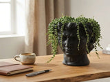 Urban Attitude David Head Planter - Matte Black V398-UA-UT260610BLK