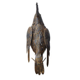 Rustic Cockatoo Garden Statue 66cm V637-03814COC