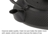 800ml Japanese Style Cast Iron Kettle Teapot Removable Infuser Strainer Tea Pot V1294-YM0722-JY03938