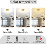 BAMDECOR C3313/1 Modern Crystal Chandeliers Lighting Contemporary Round Chandelier Lighting V255-BAM-C3313-1-60