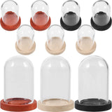 10 Sets Clear Display Dome Wooden Base Bell Jar Cloche Diy Mini Display Dome With Wood Base V1366-AZ2-W-18427