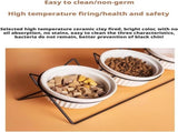 Triple Slanted Ceramic Pet Bowl Set with Elevated Iron Stand and Non Slip Base - 3 x 300ML Versatile V888-ELOSUNG49880