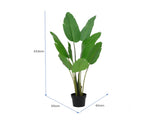 Potted Artificial Strelitzia Bird Of Paradise Tree 153cm V637-84500PEP