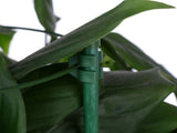 Garden Plastic Multifunctional Plant Covers Protectors Transparent Jar Prevent Birds Frost V1294-YM0523-220222DJ01