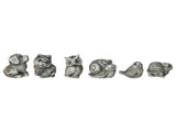 Set 6 Asst Garden Animal Figurines Paperweights V637-49450ANM