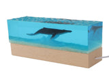 Night Light Simulated Marine Landscape USB Powered White Lighting Multi Purpose Decorative Ambient V1294-YM0901-3119250009611