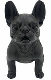 Danny French Bulldog Statue 47cm V637-E144286