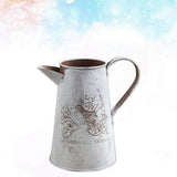 2X Watering Can Vase French Jug Home Decoration Vase Flower Arrangement Iron Flower Making Gardening V1192-AZ-W-22699
