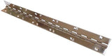 Marine Grade Stainless Steel 14 X 2 INCH Boat Piano Hinge Continuous with Hole, Polished Finish Home V1259-DP01-A-1346