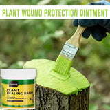3Pack Tree Wound Sealer & Dressing, 150g Tree Pruning Sealer for Cut, Damaged Bark, Grafting V1107-119-84772-GRN-3PACK