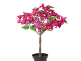 Potted Artificial Bougainvillea 66cm V637-84509BGV