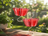 2 Pack Ant Moat for Hummingbird Feeders 6 oz Ant Guard for Hummingbird & Oriole Feeders, Transparent V1369-AZ3-W-16279