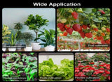 Full Spectrum Growth Quantum Board LED Indoor Plant Supplement 3000K 5000K IR UV Grow V1294-YM0901-L6830US
