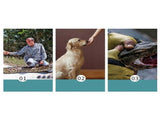 Clearance Reptile Anti-Bite Gloves Pet Protective Gloves for Monitor Lizard Snake Cat Dog Bite Proof V1366-AZ2-W-24271