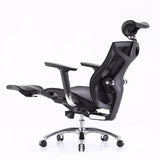 Sihoo Ergonomic Office Chair V1 4D Adjustable High-Back Breathable With Footrest And Lumbar Support V255-SIHOO-V1-001-GY