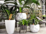 8pcs Clay Cones Watering Cones Plant Water Dispenser, 8cm V1188-MS-325-0769