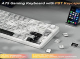 Solakaka A75 3-Mode RGB Mechanical Keyboard, Hot-Swappable Greywood V3 Switch,White-Gray V1300-A75-WHITE-GRAY