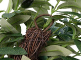 Artificial Olive Stair Hanging Decoration 60CM Handcrafted Vivid Details Fake Olive Decor for All V1294-YM0901-3115250021811