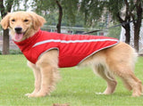 Dog Coat - Waterproof and Warm for Winter - Warm Dog Jacket - Windproof Fleece for Puppies V1188-MS-313-0745