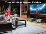 Portable Karaoke Speaker with 2 Wireless Microphones V1142-TM601101362687901