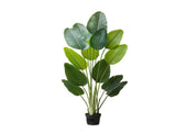 Artificial Bird of Paradise 1829 mm Tall, Fake Tropical Plants with with 13 Trunks & White Pot, Faux V952-RZRDZWTTNZL6CG3Q9001V0