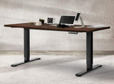 Levede Desktop For Motorised Adjustable 120X60CM Walnut DH1048-120-WA_NZ