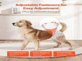 Disposable Dog Diapers, Super Absorbent Female Dog Diapers, 360&deg Leak-Proof Female Doggy Pet Diaper V952-CWNBZNKMG96PE32U1001V0