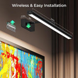 Modern LED Picture Light for Art Display, Sleek Black Finish V1102-DSZ-001-006