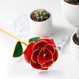24K Gold Plated Rose, Dried Flower Kit with Gift Box and Display Stand, Rose Red V1237-ZY-203-0106