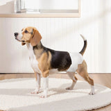 VEVOR Disposable Dog Diapers Super Absorbent Female Dog Diapers S Size 96 Count V952-CWNBZNKMG96P2C7UG001V0