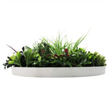 Slimline Artificial Green Wall Disc Art 60cm Colour Fresh UV Resistant V637-DP9862