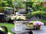 Rustic Galvanized Metal Flower Vase Bucket Planter Pot Tin Container for Garden and Country Style V1369-AZ3-W-18728