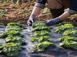 Weed Barrier Landscape Fabric, 6*100FT Heavy Duty Garden Weed Fabric, Woven PP Weed Control Fabric, V952-JBXBZ6100FT370GONV0