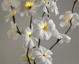 1 Set of 50cm H 20 LED White Frangipani Tree Branch Stem Fairy Light Wedding Event Party Function V382-WHFRANGISTEMBATT