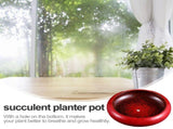 Large Bonsai Pot Bonsai Planter Ceramic Red 1Pcs V1370-AZ4-19624
