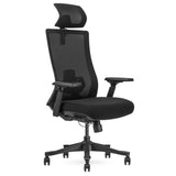 Lifespan Fitness DM9 Ergonomic Mesh High Back Office Chair V420-LFOC-DM9BK-1