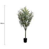 Artificial Bushy Olive Tree with Olives 180cm V637-DP1058967